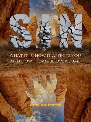 cover image of SIN